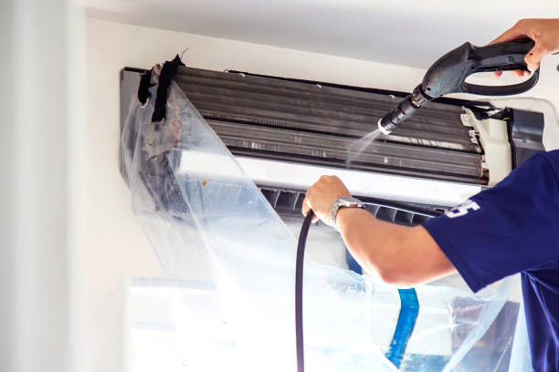 Best Air Duct Mold Removal  in Decatur, MI