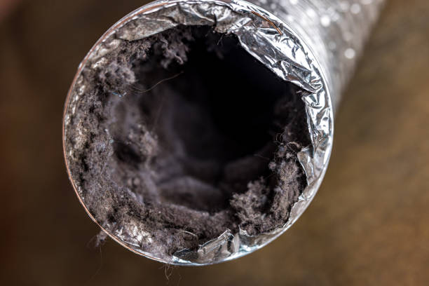 Best Home Air Vent Cleaning  in Decatur, MI