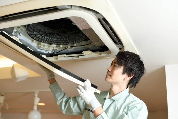 Best Air Vent Cleaning Services  in Decatur, MI