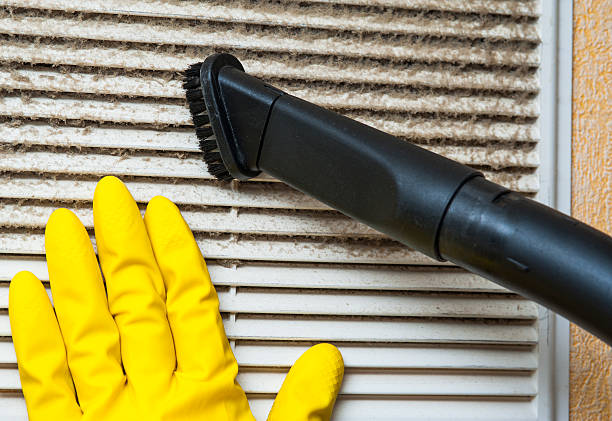 Best Dryer Vent Cleaning Services  in Decatur, MI